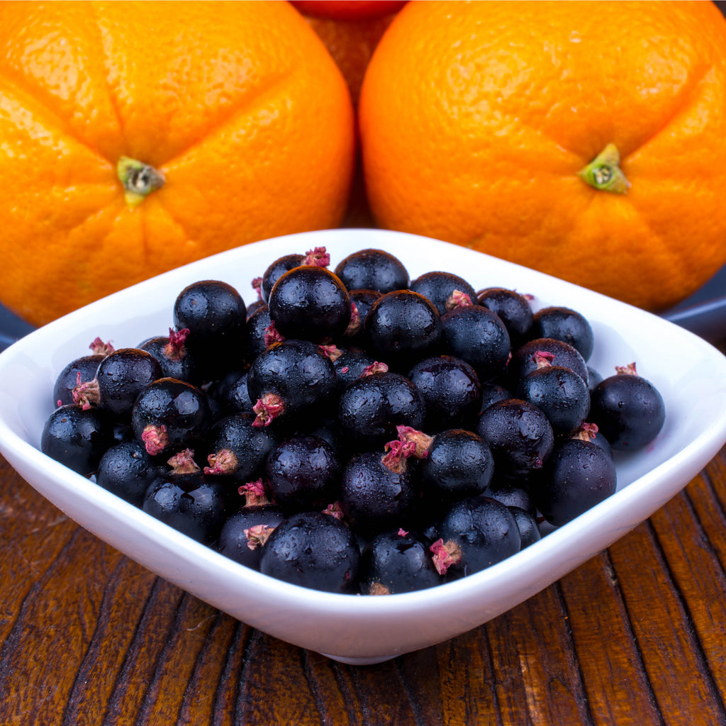 Why CurraNZ and Vitamin C are a complementary pairing for immune health