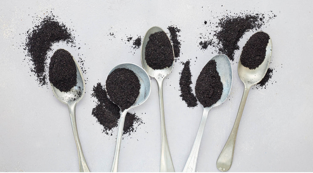 Study reveals New Zealand blackcurrant extract's potent effect on recovery from exercise and immunity