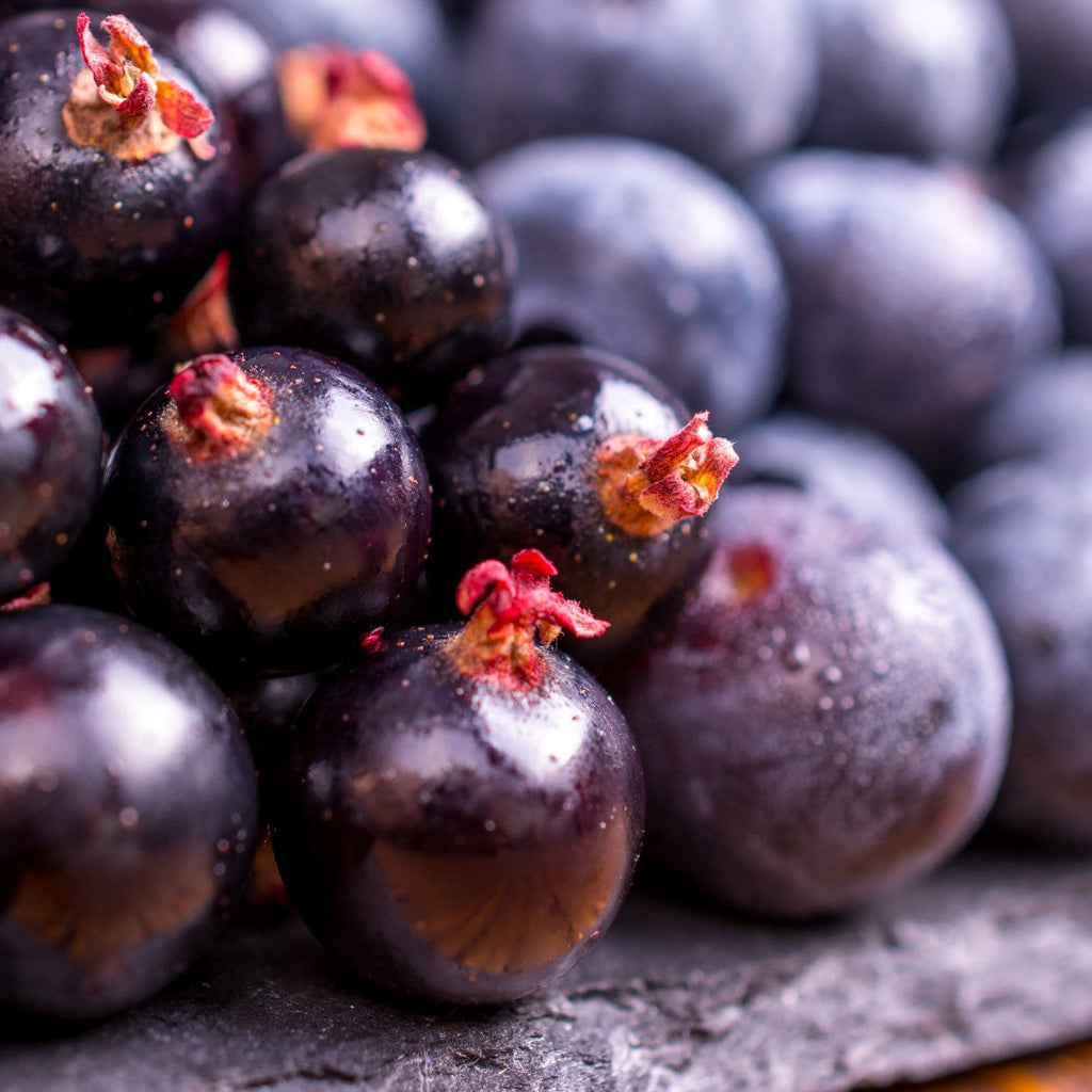 How Nature’s Purple Powerhouse Can Help