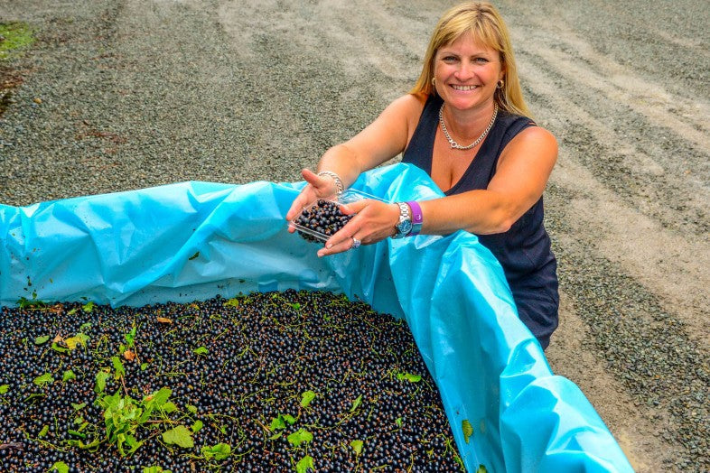 CurraNZ and NZ Blackcurrants Headline the World’s Biggest Sports Medicine Conference