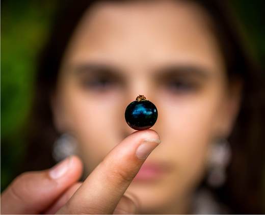 How CurraNZ differs to other blackcurrant products - we answer your questions