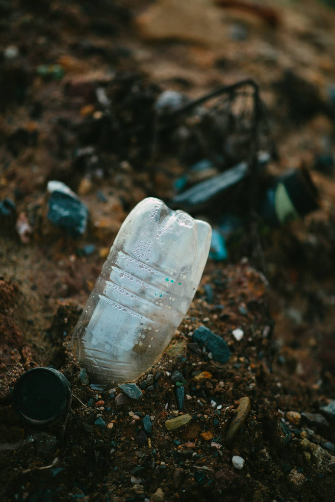 Plastic Penetration and Potential Plant Protection: A Physician’s Perspective