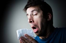 Arm your immune defence with blackcurrants this flu season