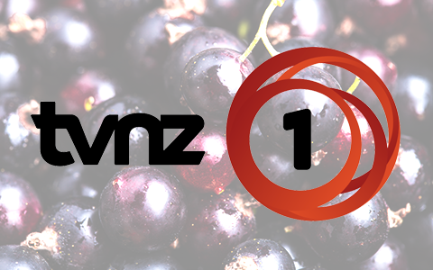 TVNZ Spotlight: Kiwi blackcurrants touted as the 2017 superfood - Watch the video now: