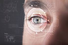 How blackcurrants can support eye health, reduce visual fatigue and age-proof vision